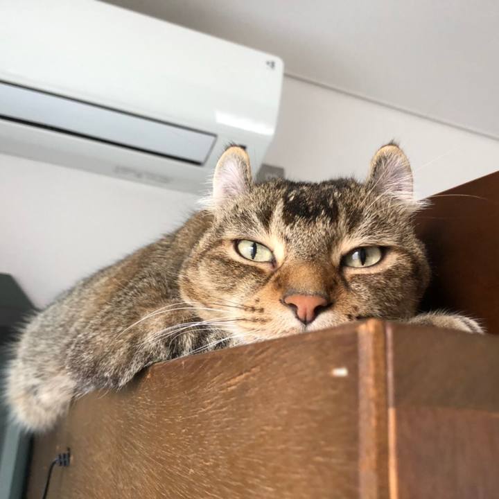 95cfb60c ce59 470e a359 1e4b283cf8f8 1623284705635