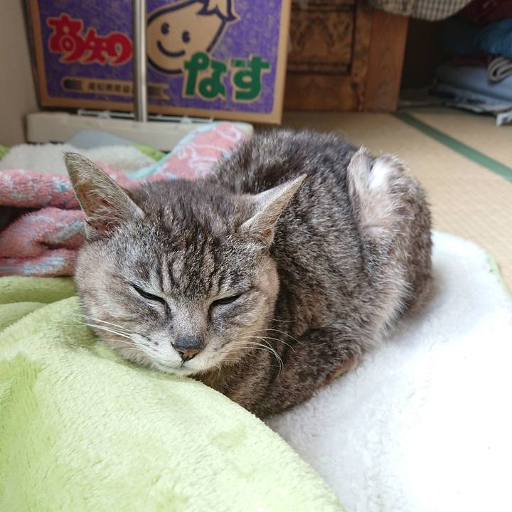 95d021e2 344f 4031 8f50 47dd9b8d6ef1 1593381053593