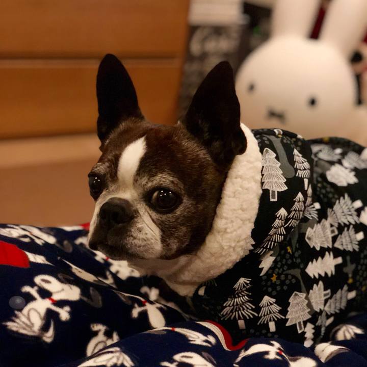 95d066d9 b9cc 4b72 bc70 c005b1863b5c 1513168526216