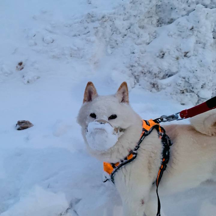 95d098f4 d9e3 491f 8cb1 78a2770756bd 1672956660381