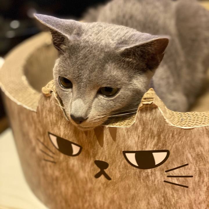 95d0eb7b 0279 42e5 bc3d a27bf6bb62f8 1614944234923