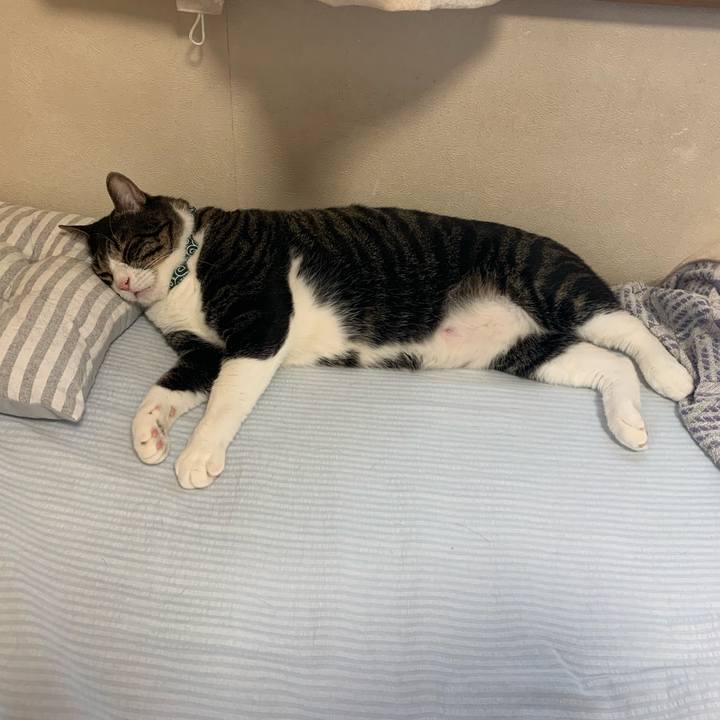 95d103a6 2a97 4b8e 8dbc db1036dd258f 1565967726373