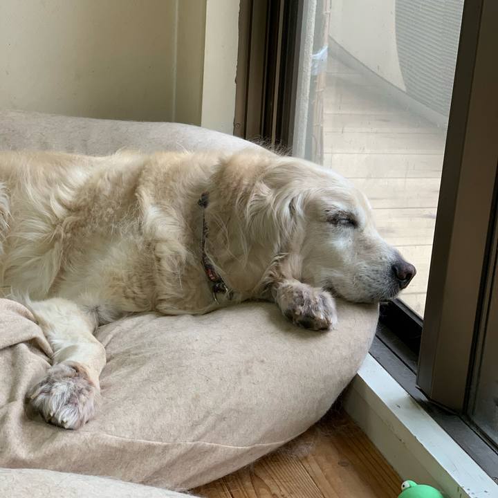 95d10acc 4aec 4dc0 b050 707e09d81951 1576977420682