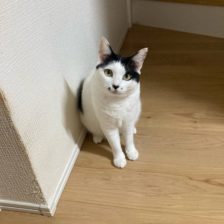 95d11b2f 465c 48fb 9294 403430520819 1757881132129