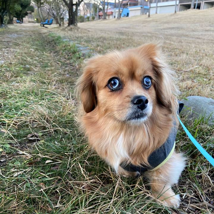 95d13633 bb09 42e9 b7c7 3c0a992fb7c5 1580607504145