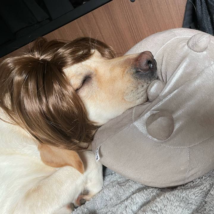 95d136ba 26a5 4eba 80e6 678ac5a7ccc1 1671761265208