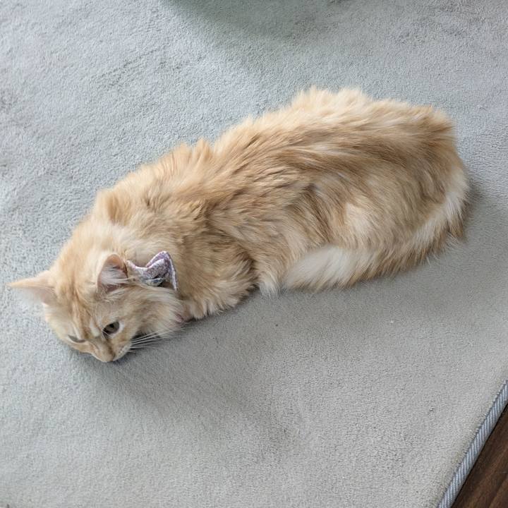 95d154e3 00aa 4132 94ff fb0e50377162 1759399096823