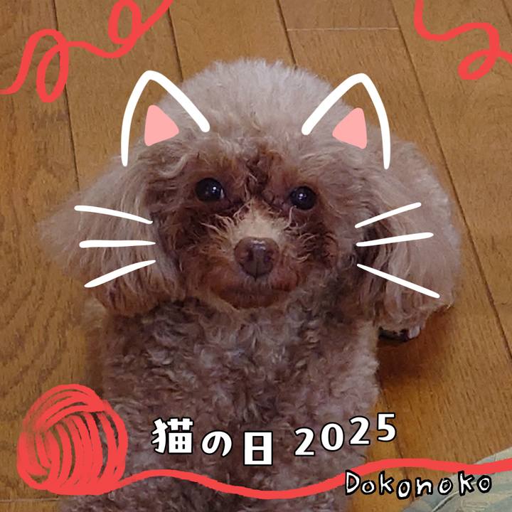 95d187cd 0492 4d6e a533 a8a73b87c78f 1740214139014