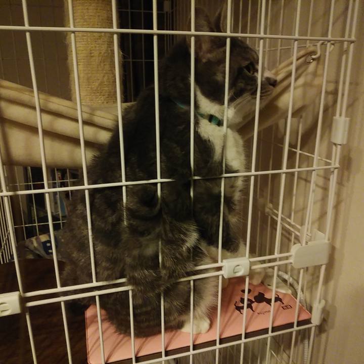 95d1a86a 02f2 4241 b952 5f51c252608b 1581871021724