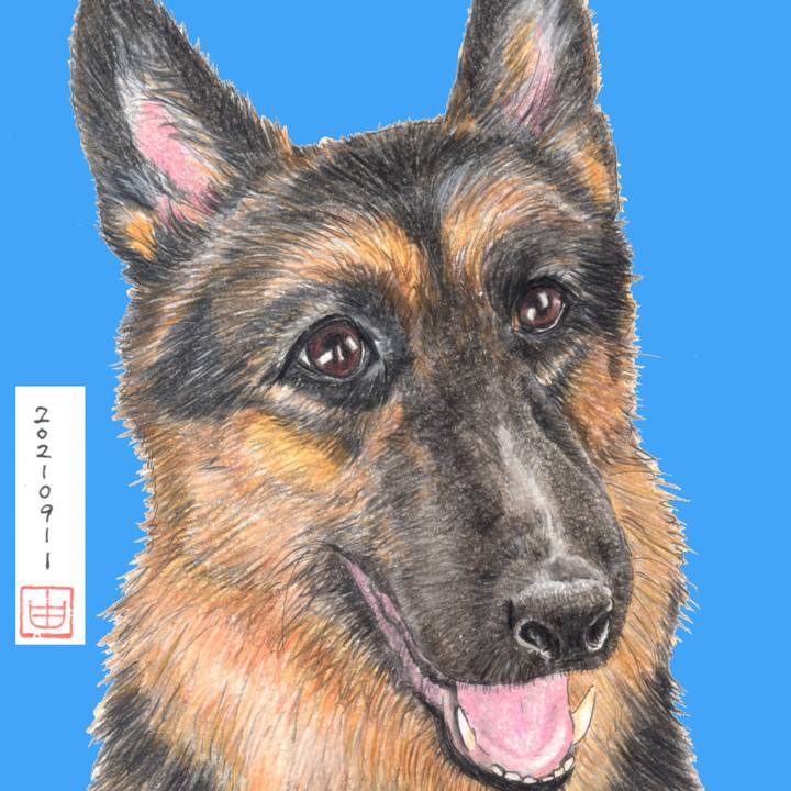 95d1c773 f56f 4cf6 bd69 5fc630e6ea8e 1631486176127