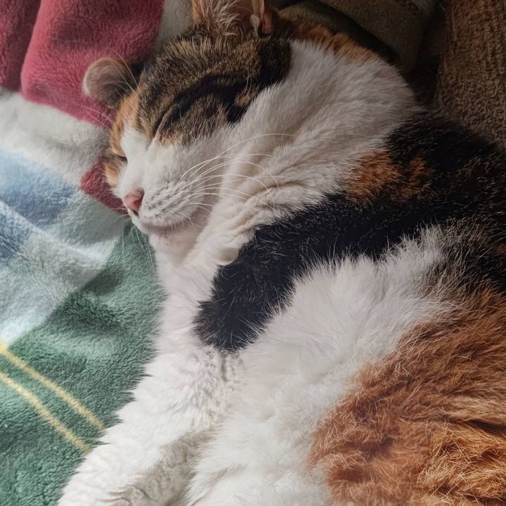 95d1c79f 17ac 4511 a437 31d47d0a9987 1633665162975