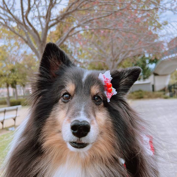 95d1dfe1 5fe2 4b75 aefe f494a54bdcf2 1680723104371