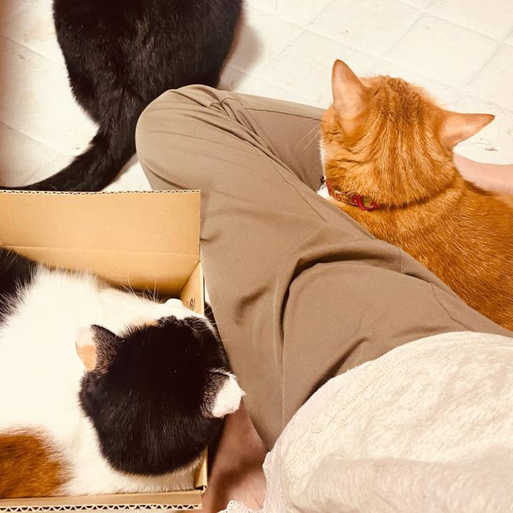 95d1f658 0ffe 42aa 9a17 ce7375cbfeeb 1729771267493