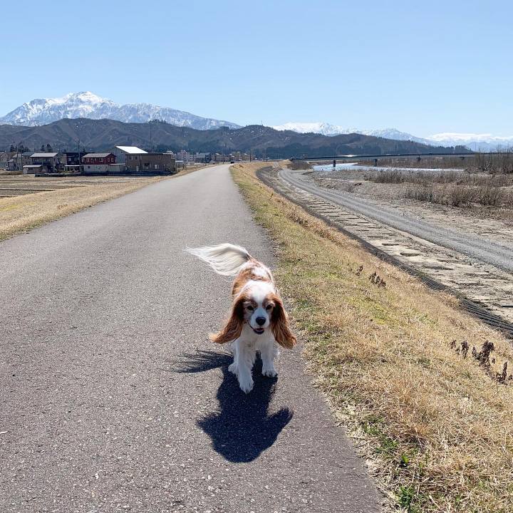 95d229ec e840 4b4d 83ce da90ef01af7e 1583725648974