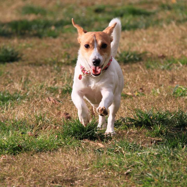 95d232cb b155 4b79 ad9e ddb39dfe7722 1512217125354