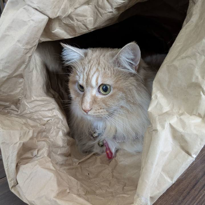 95d25e5e 6101 4a84 831c 248e0bb3f63d 1774837256677