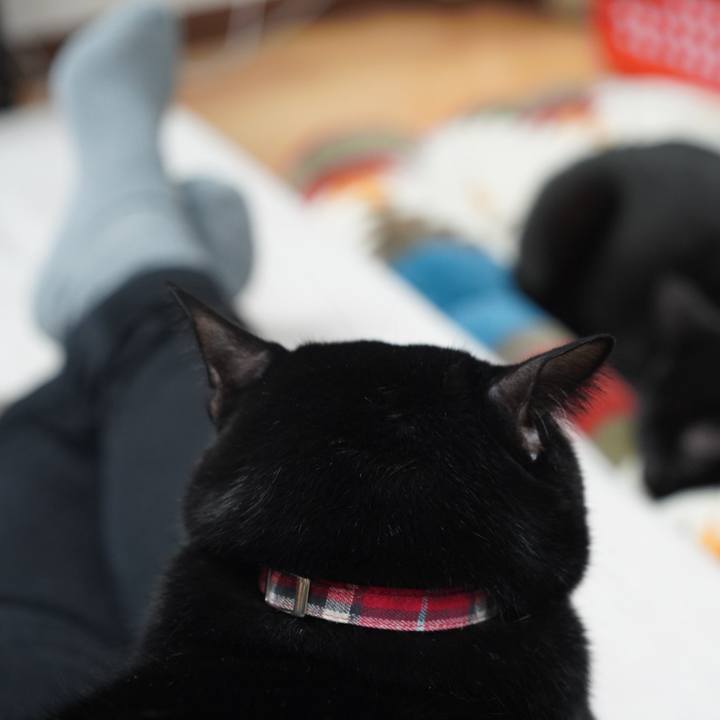 95d26e04 bd13 41a6 8522 2ebce7a3b599 1576713059312