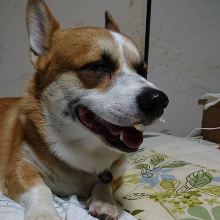 95d290b2 a4b2 4de8 83e0 ce4ac247e6b6 1603075018099