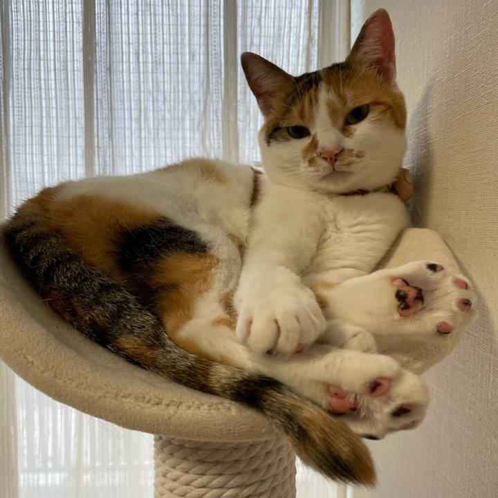 95d29cd6 975a 49cc a86e 651bd2c25ec5 1630625761871