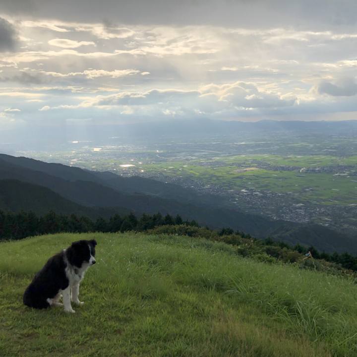 95d2a81b ba70 4665 8f7b 3320ea28ed6d 1532952056483