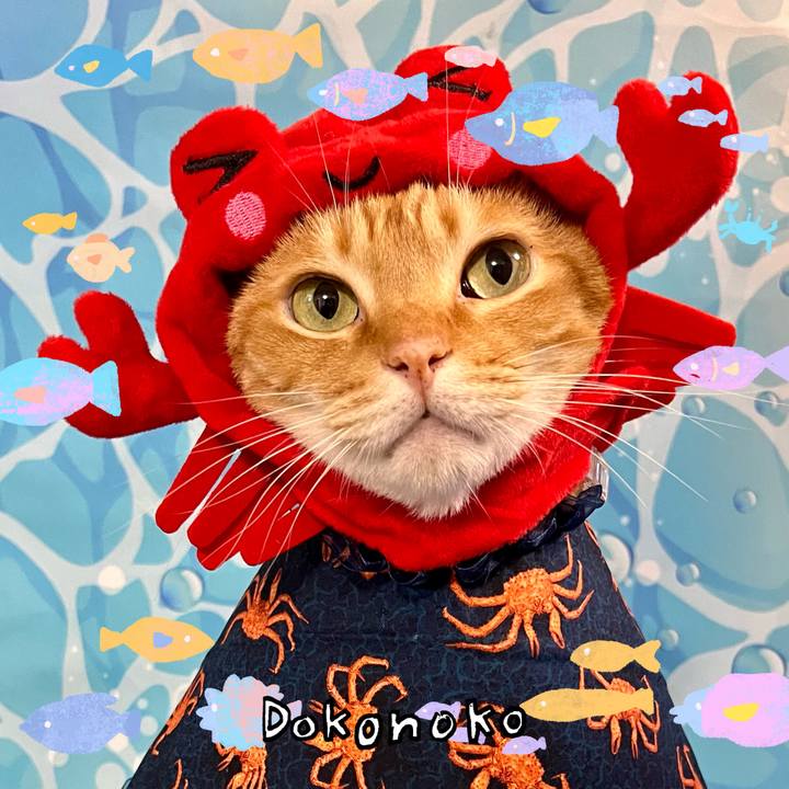 95d2c2b6 2f1e 4e1f 8b00 7da1484b879b 1755125920916