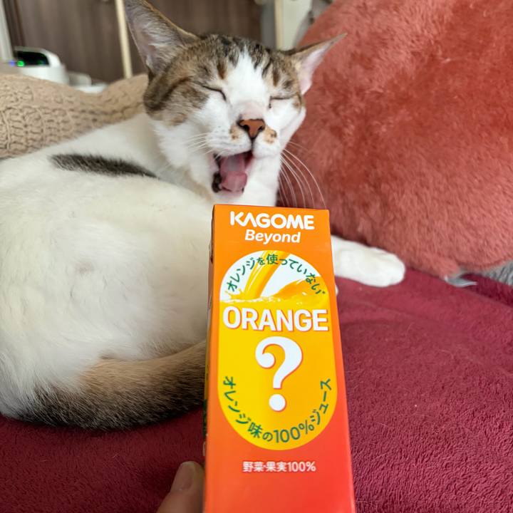 95d3012d 83ff 4a64 9db5 652c6e4f6c61 1773285543102