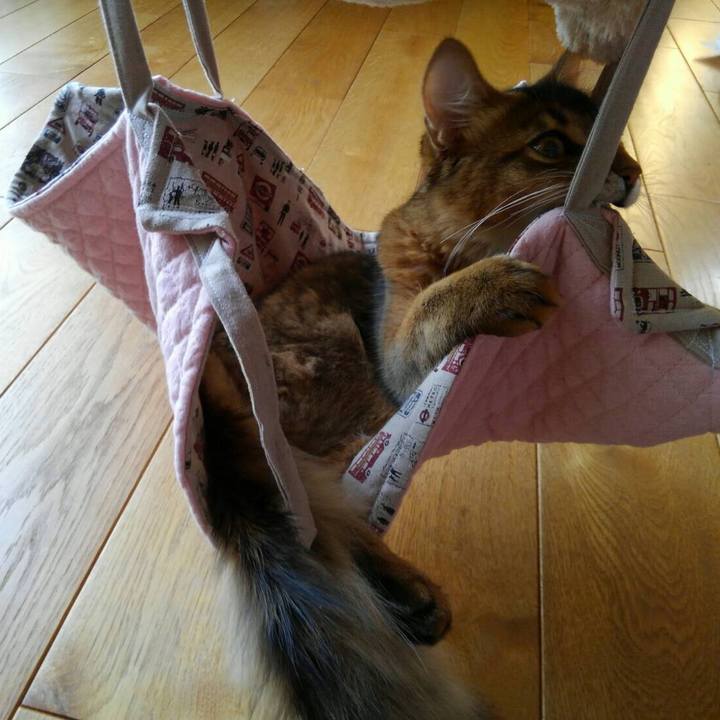 95d30ad3 311e 48fe bb3d 9da860dc496f 1573215376175