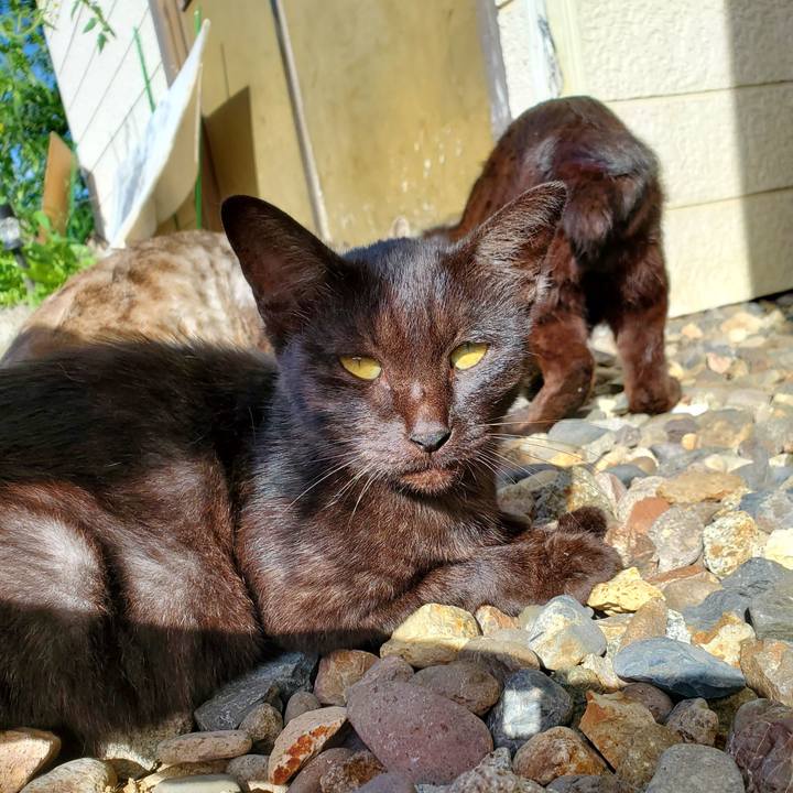 95d31959 eb28 438a bad6 7b04adef6f56 1694263719419