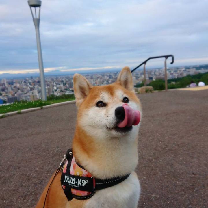 95d3497a 459c 4514 8260 87496c867b9a 1531098983956