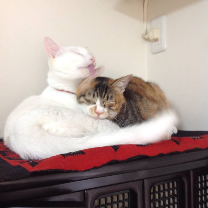 95d36d36 3bf6 439e 8dfa 5fc827d33bc9 1638946893215