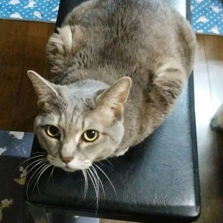 95d389ae 0420 48d4 a7a8 f34763db4a8b 1519901444044