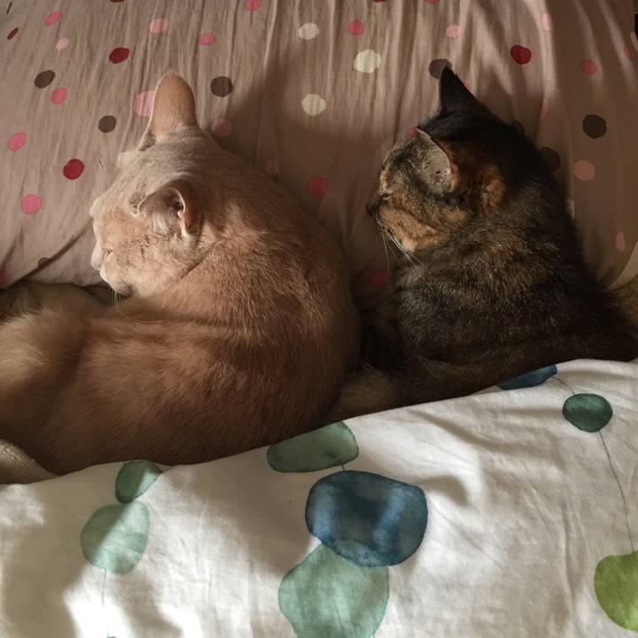 95d3a0ac b429 4242 852d 20c1abba9d4d 1621466561844