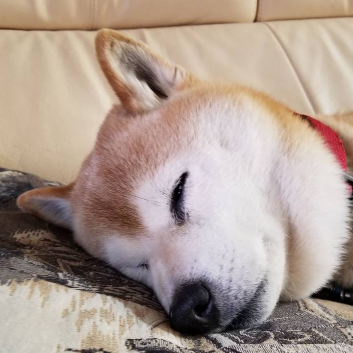 95d3bbf5 9588 41fc a989 a2d26a70f5e1 1710630612835