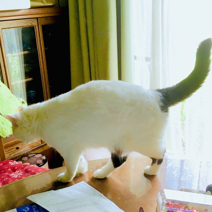 95d3bc9a 705b 4db7 990b 714a47f0c0d9 1563099866627