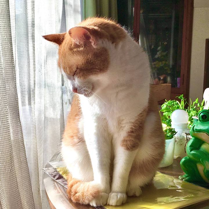 95d3dcd5 9525 4b0d 8a96 8c152abca602 1577696915566