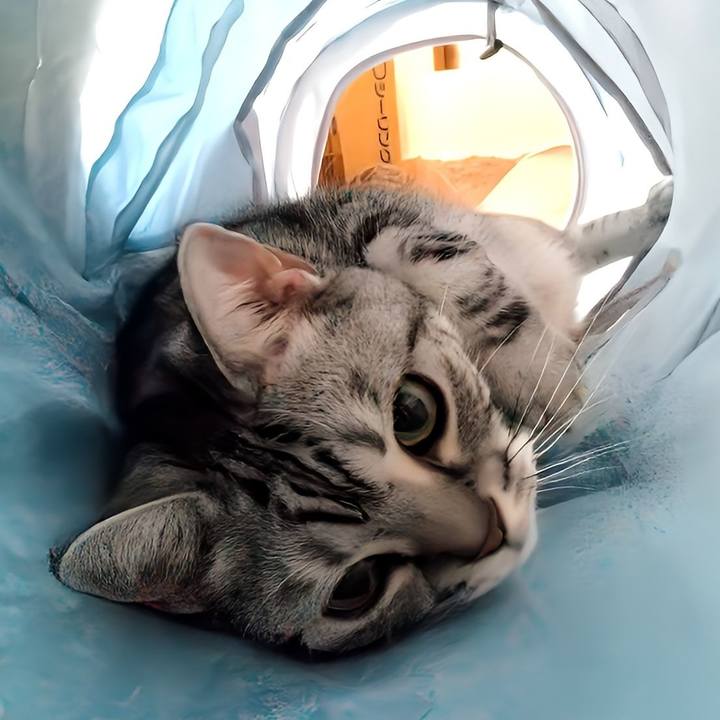 95d3e7df f9a1 4baa 9349 fdcd26812027 1723892879837