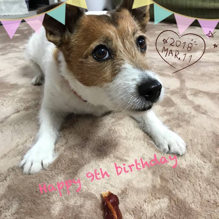 95d42330 cf03 4e5c bee6 85f94280c206 1520766228433