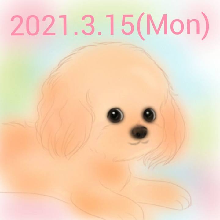 95d452dd 9c55 4350 9adb 2b661af11eaa 1615782282855