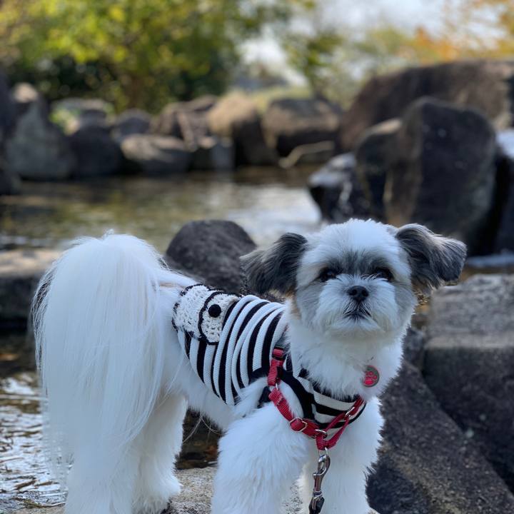 95d4954d d8b4 40c7 a788 b039d5f42237 1569469082475