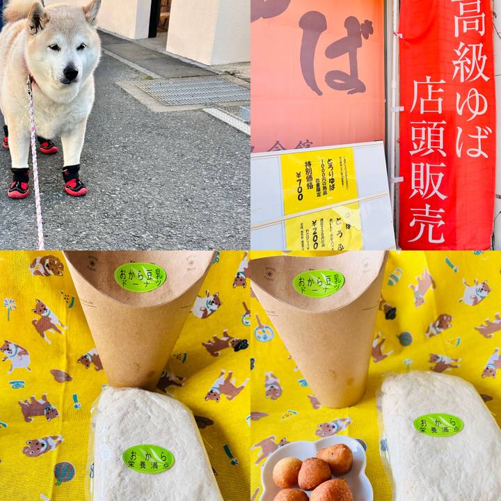 95d4c8a0 3d35 4700 a8b1 cdd54a28535f 1740471115382