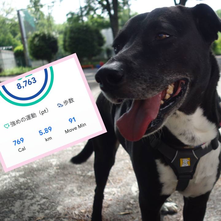 95d4e660 10ce 442f b2f8 bd280dc0e7f9 1652148179193