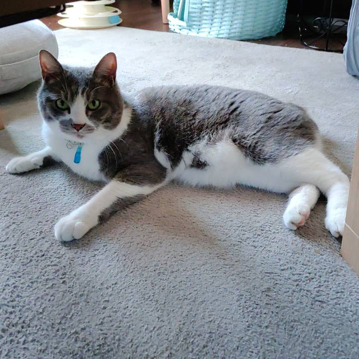 95d4f569 3d78 45ae 90ab 590ee0d75494 1715330942375