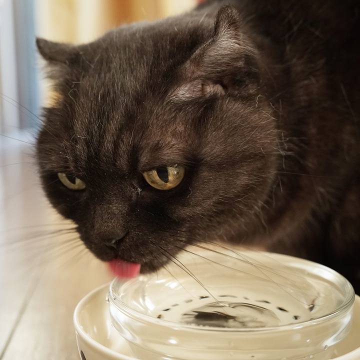 95d50a52 a4ac 45a7 8174 0e5cb6d5bfb9 1579597570793