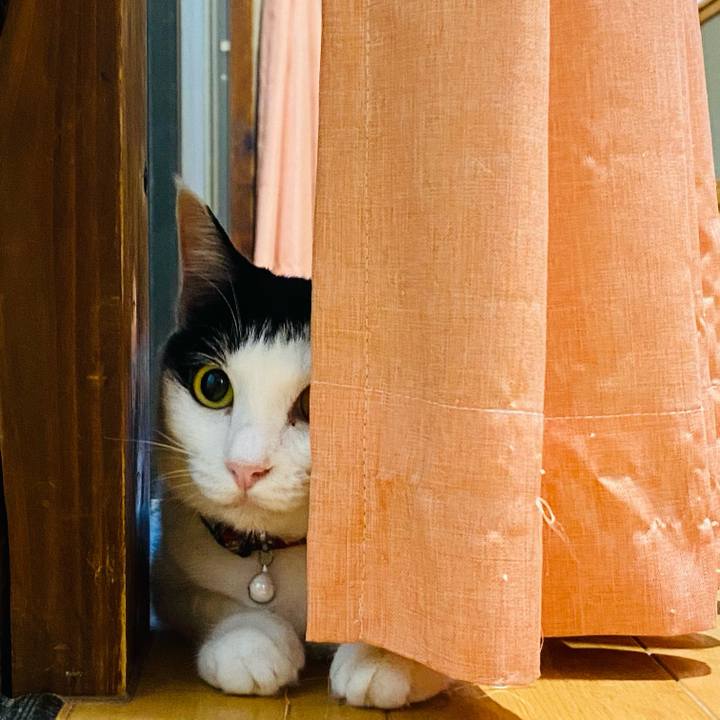 95d50d47 5b68 4a17 baf7 f57795c6f7ef 1659991828489