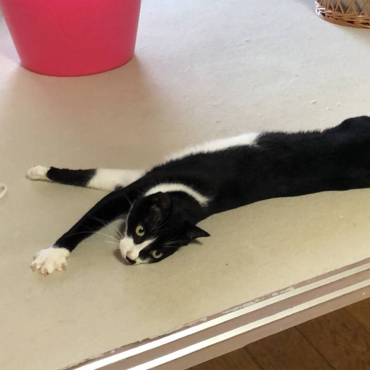 95d50d98 14db 4ca3 8980 8e09357333d8 1536139326511