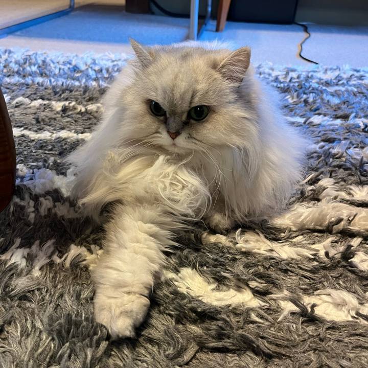 95d539e8 c0da 4de8 9155 e05475986bc4 1741402496433