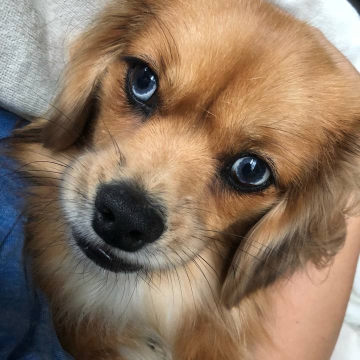 95d53baa 81f0 4ec6 ad7f 4c68e9f59740 1539473037002