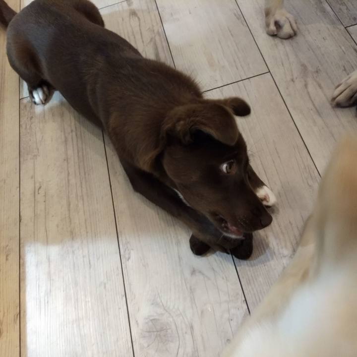 95d57a46 833f 4399 8f1e 025136916b8c 1576754001707