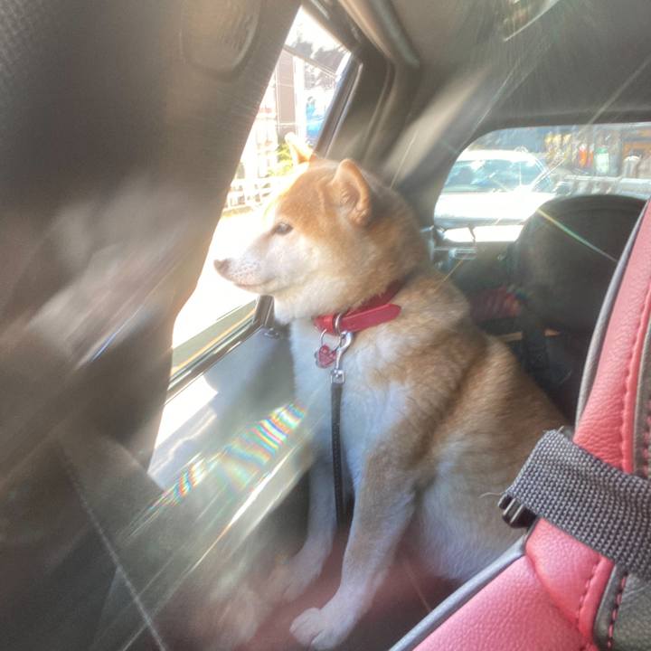 95d5a802 1dcb 4412 9a13 4772551452fe 1615812366100