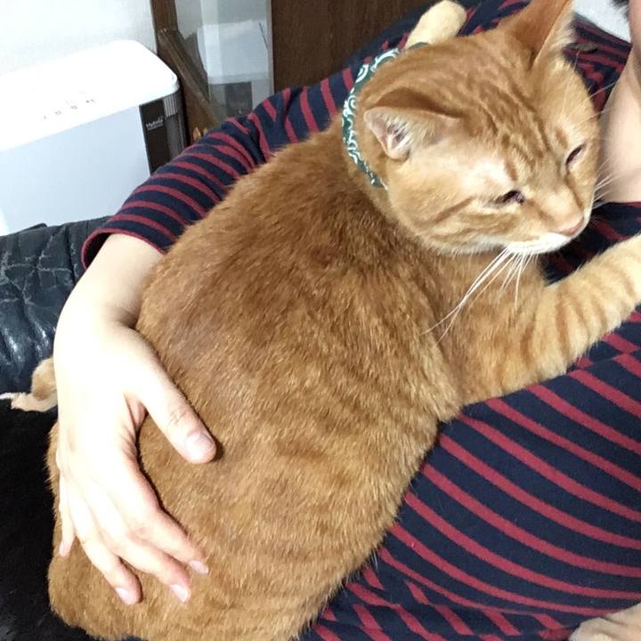 95d60c44 6fbb 4bf6 8a45 2db142749120 1549878344843